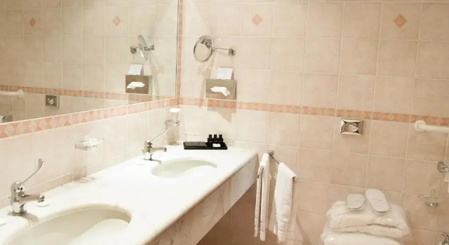Одноместный номер Viareggio Hotel Sina Astor