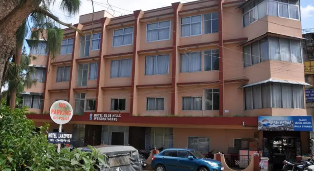 Трёхместный номер Standard с красивым видом из окна Hotel Blue Hills International