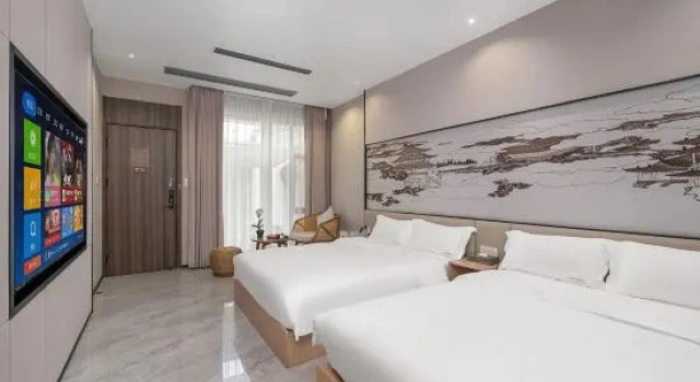 Люкс Deluxe Teochew Minglin Mansion