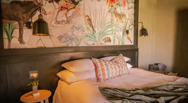 Номер Classic Okapuka Safari Lodge