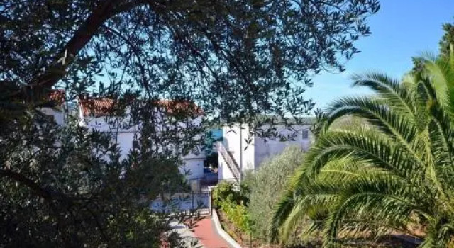 Apartments Rosanda 508