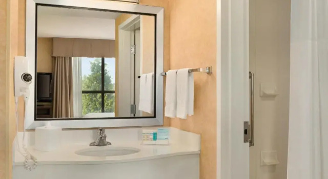 Двухместный номер Deluxe Hampton Inn & Suites by Hilton Langley-Surrey