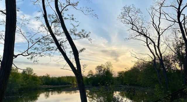 Коттедж Цокольный этаж c 1 комнатой The Sanctuary On Huron River