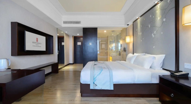 Номер Standard с видом на город Rezen Select Pasonda Hotel