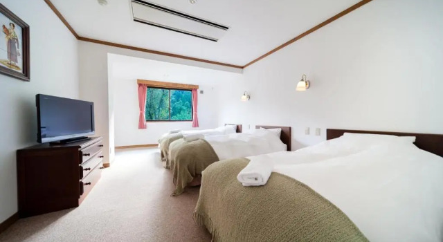 Трёхместный номер Wadano Forest Hotel & Apartments