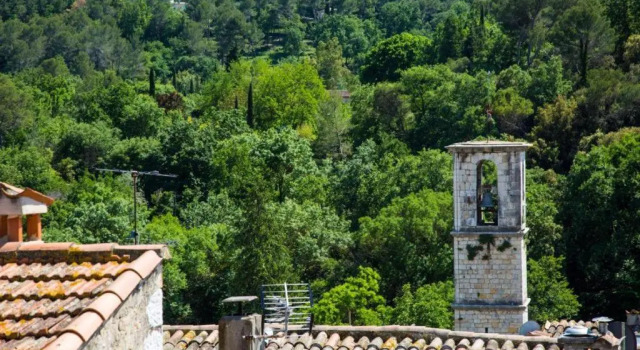 Одноместный номер Classic Hotel les Armoiries