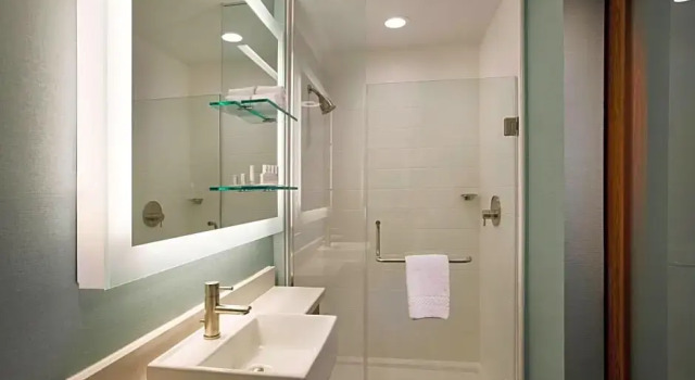 Двухместная студия SpringHill Suites by Marriott Houston Downtown/Convention Center