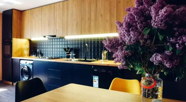 Holiday Home