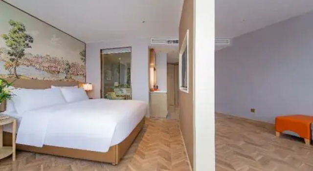 Люкс Deluxe Vienna Hotel (Cangzhou Binjiang Wuyue Plaza)