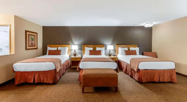Люкс Best Western Plus Pavilions
