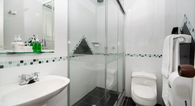 Двухместный номер Executive Hotel Don Saul