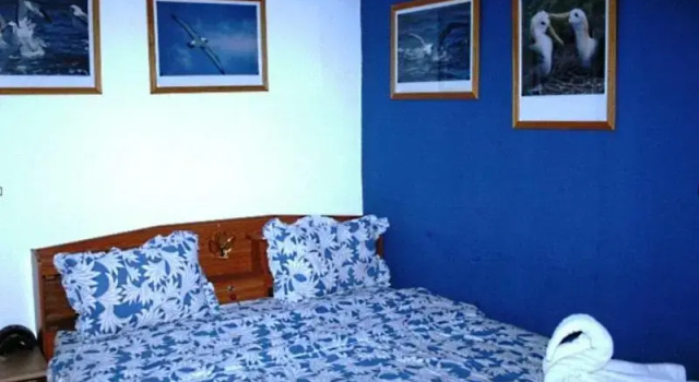 Номер Standard Summer Breeze Inn Hotel