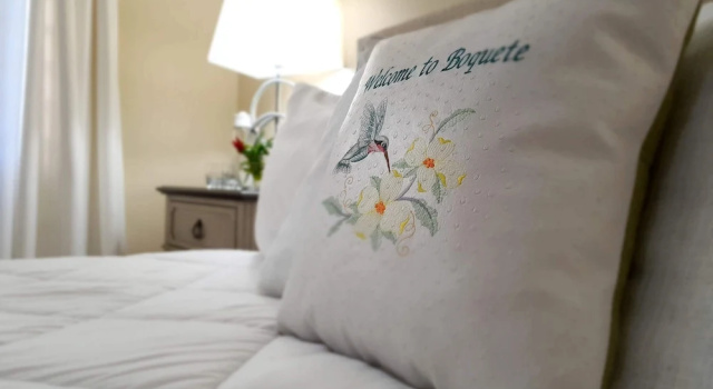 Номер Deluxe Villa Alejandro