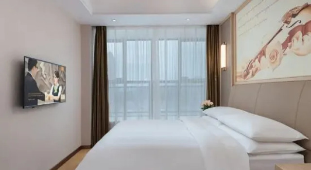 Люкс Vienna International Hotel (Dushan)