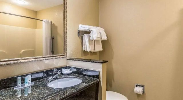 Номер Standard Quality Inn & Suites Hendersonville - Flat Rock