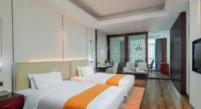 Люкс Feinisic Hotel (Changsha Insurance Professional College)