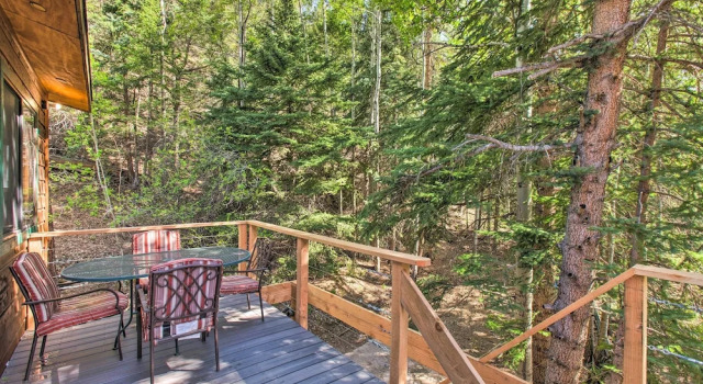 Апартаменты Chicago Creek B & B: 1 Mi to Mt Blue Sky!