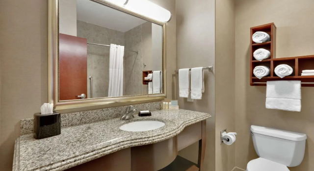 Четырёхместный номер Standard Hampton Inn & Suites Abilene I-20