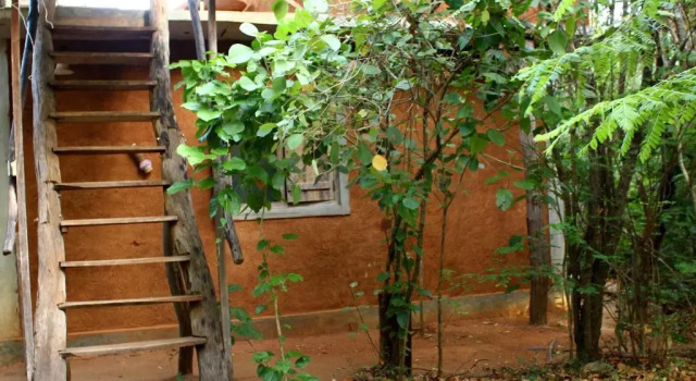 Thick forest sigiriya