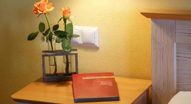 Двухместный номер Standard Weinhof am Nussbaum