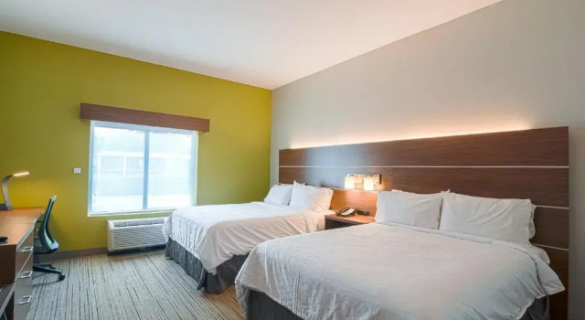 Двухместный номер Standard Holiday Inn Express Hotel & Suites Tampa-USF-Busch Gardens by IHG
