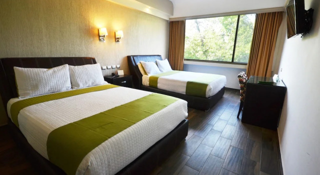 Четырёхместный номер Executive Hotel Diana del Bosque by DOT Urban