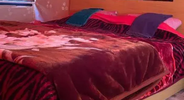 Wadi Rum Nature Tours And Camp