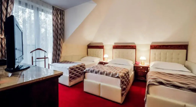 Трёхместный номер Standard Hotel Dunav