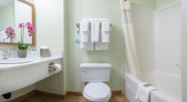 Двухместный номер Premium Service Plus Inns and Suites Calgary
