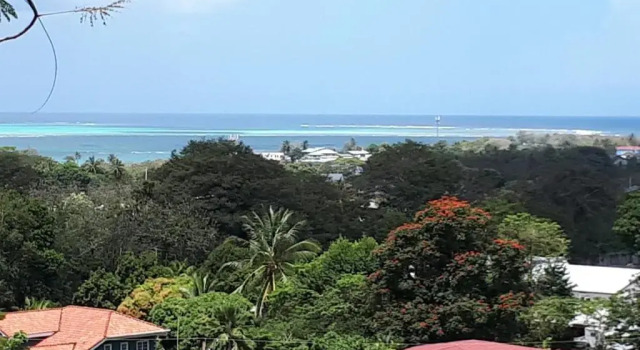 Апартаменты The Nest Tobago Apartments
