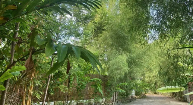 Коттедж с видом на сад The Village Siargao