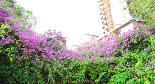 Dazhou Xuanhan Nanba Mintai Hotel, Buchen Sie Hotel Nanba Dazhou