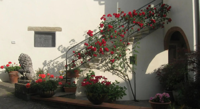 B&B Casa Delle Rose, Rezervați Bed and Breakfast Antria Toscana