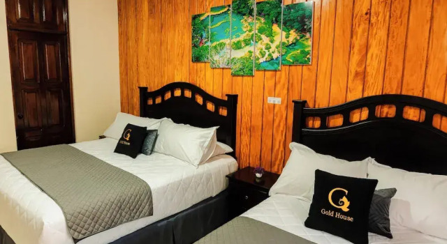 Номер Comfort Gold House