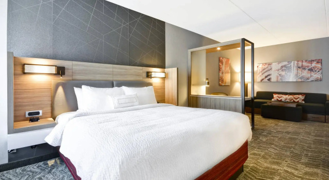Двухместный люкс SpringHill Suites by Marriott Cincinnati Blue Ash