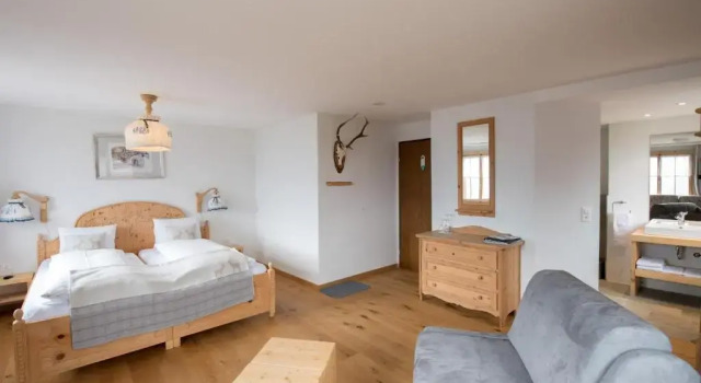 Номер Deluxe Hotel Garni Postigliun Andiast