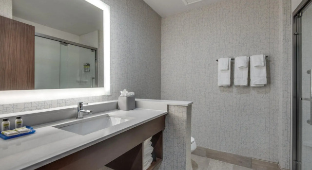 Номер Standard Holiday Inn and Suites Addison by IHG