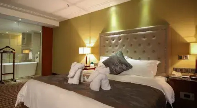Люкс Deluxe Holiday Hotel