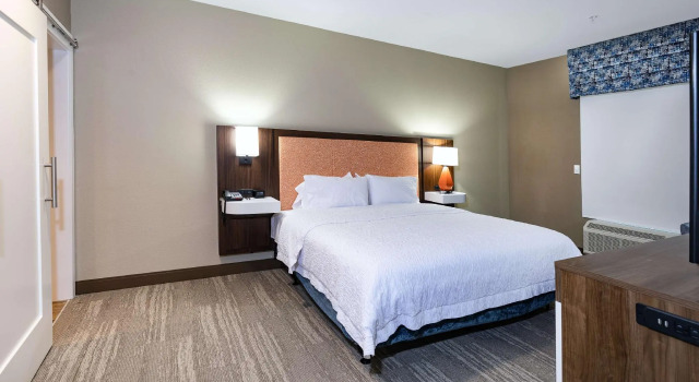 Двухместный люкс Hampton Inn & Suites Columbia Killian Road