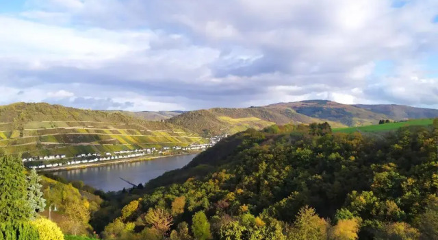 Апартаменты Schau-Rhein#2 - on Top of Bacharach, Rhineview