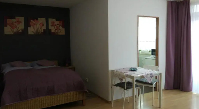 Апартаменты с балконом HAUSBURG studio. City view