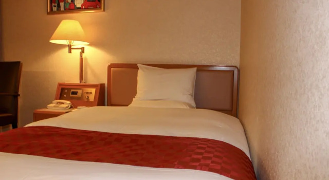Одноместный номер Standard Hotel Higashinihon Utsunomiya