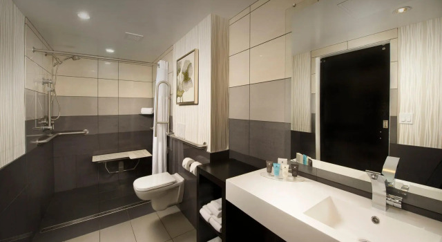 Номер Deluxe Skybridge Seattle Airport Hotel