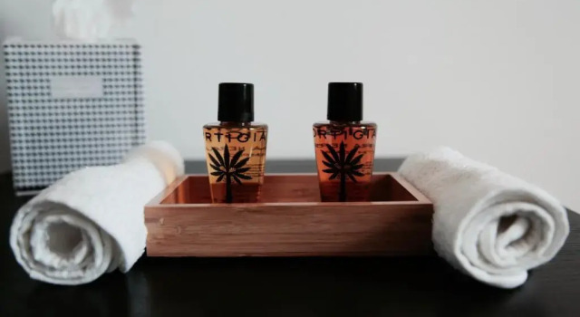 Люкс LA CASCINA DEL BALSAMICO b&b