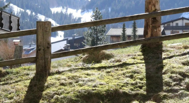 Студия с видом на сад Alpen Suites Brandnertal