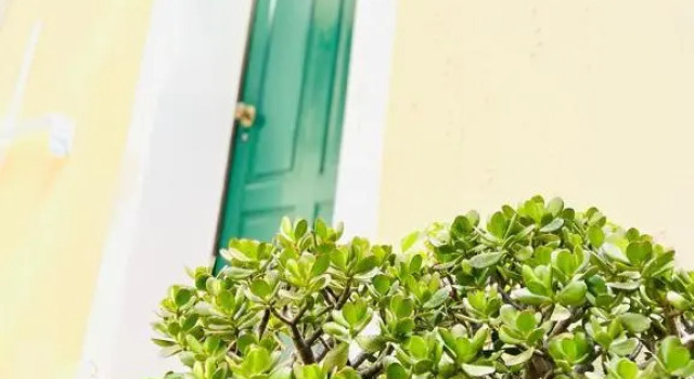Relax nel Centro Storico, Buchen Sie Hotel San Nicola Arcella Kalabrien