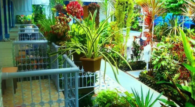 Zappia Cove Guesthouse