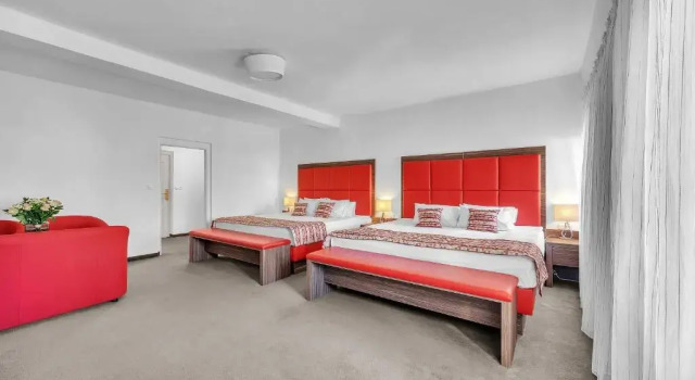 Номер Standard Hotel Nelly Kellys