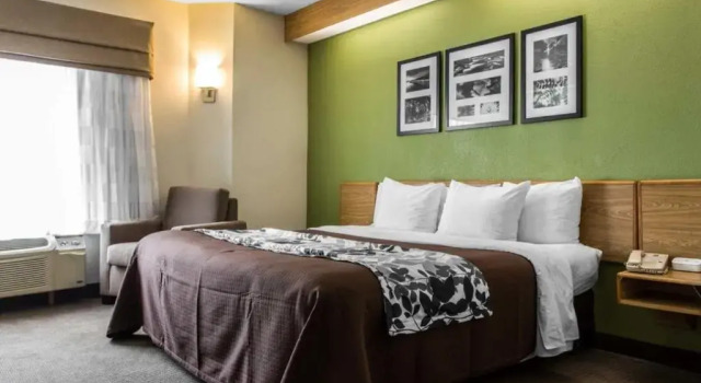 Номер Standard SureStay by Best Western Summerville Flowertown