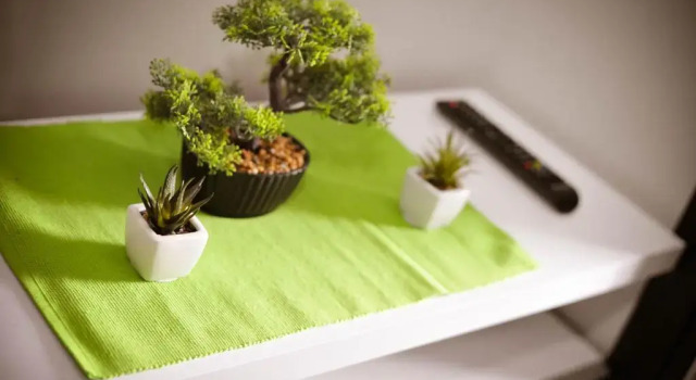 As Lux Apartmani Kopaonik